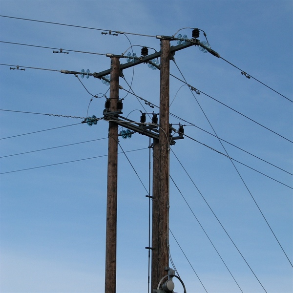 Power line and wildlife meeting 22 Nov
