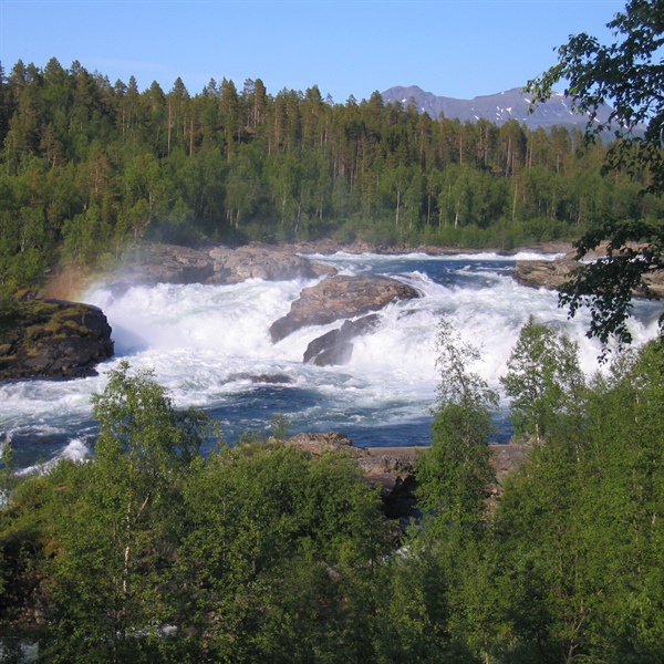 CEDREN årsseminar 28.04 i Oslo