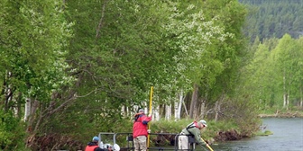 Kartlegger med elfiskebåt