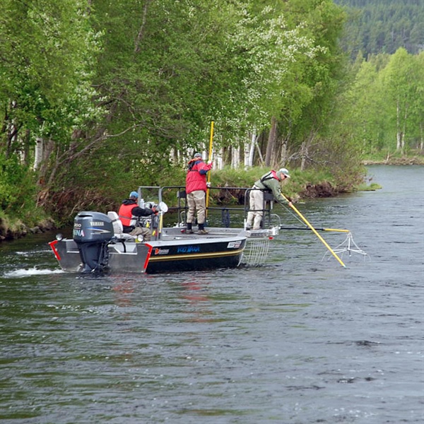 Kartlegger med elfiskebåt