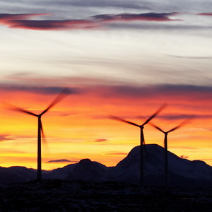 Bird-friendly wind turbines