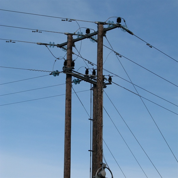 Power line and wildlife meeting 22 Nov