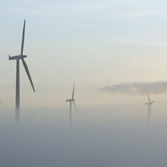 First results from bird research in Smøla Wind Farm